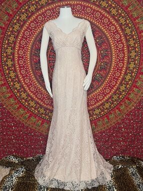 Blush pink lace Amsale bridal/bridesmaid gown